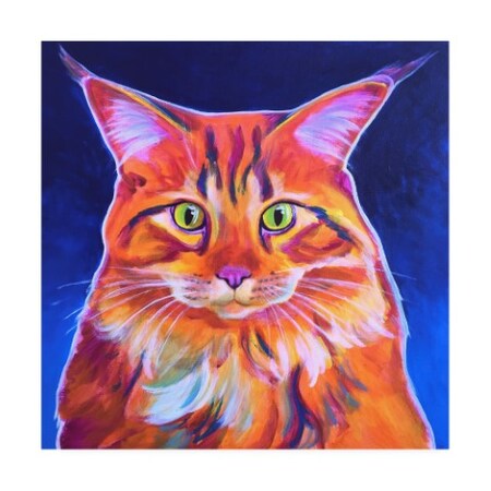 Trademark Fine Art DawgArt 'Cosmo Pet Cat' Canvas Art, 24x24 ALI46818-C2424GG
